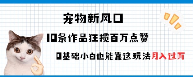 宠物粉暴利新风口0基础小白也能靠这套玩法月入过W