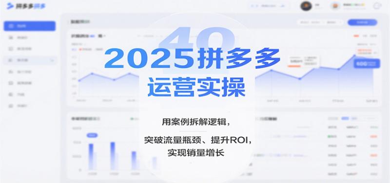 2025拼多多运营实操，用案例拆解逻辑，突破流量瓶颈、提升ROI，实现销量增长