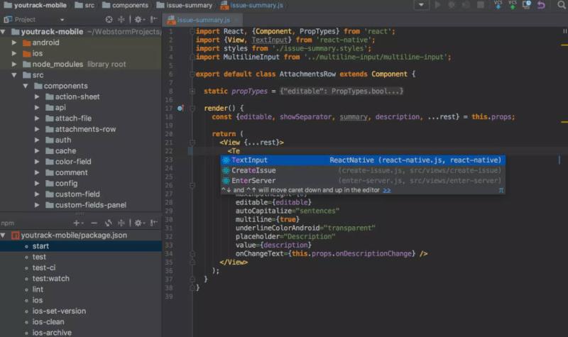 前端开发神器JetBrains WebStorm 2025.2.5中文免费版