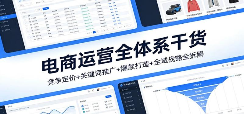 电商运营全体系干货，竞争定价+关键词推广+爆款打造+全域战略全拆解