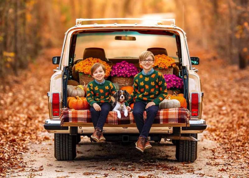 网站公告 网站公告