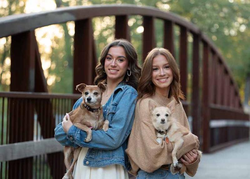 网站公告 网站公告