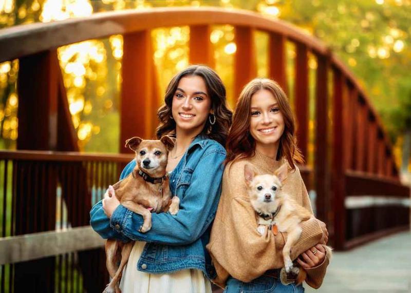 网站公告 网站公告