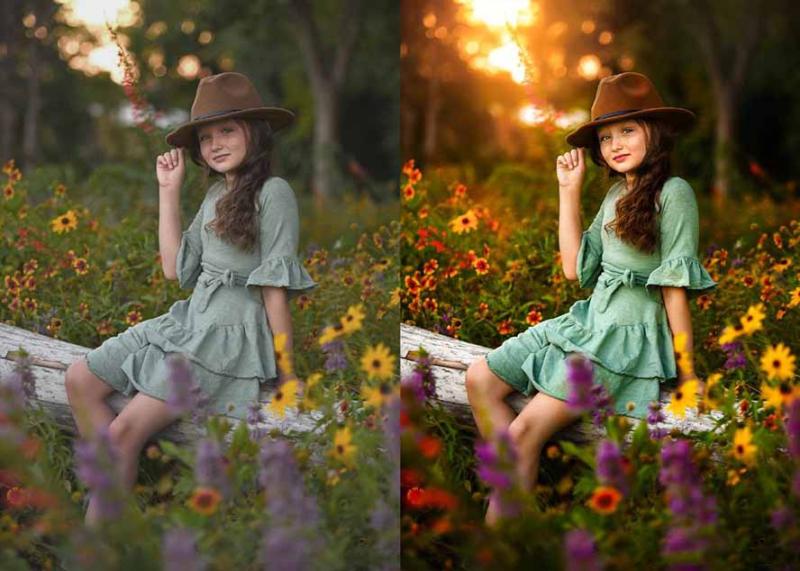 网站公告 网站公告