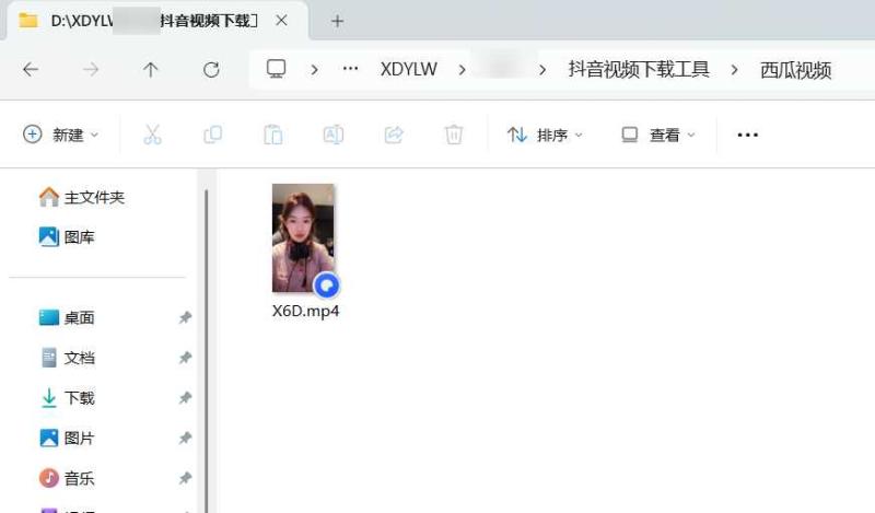 西瓜抖音视频下载绿色单文件