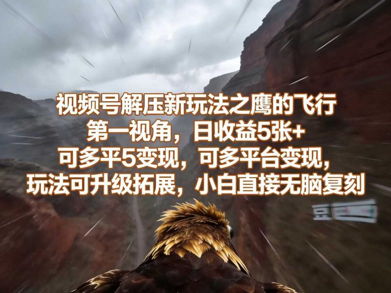 视频号解压新玩法之鹰的飞行第一视角，日收益5张+，可多平台变现，玩法可升级拓展，小白直接无脑复刻