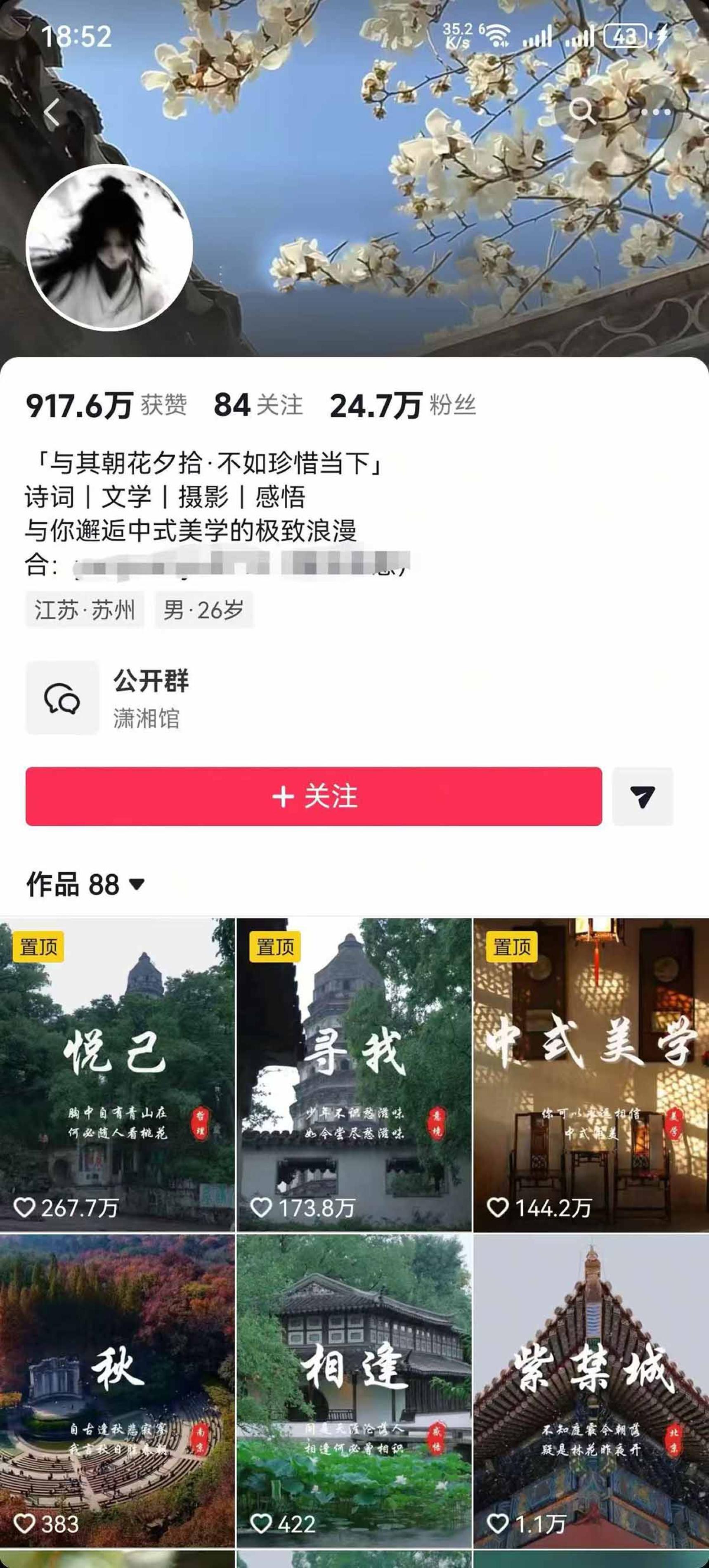 网站公告