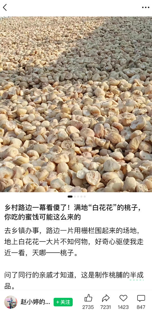 网站公告 网站公告