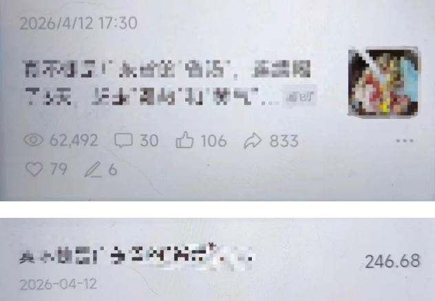 网站公告