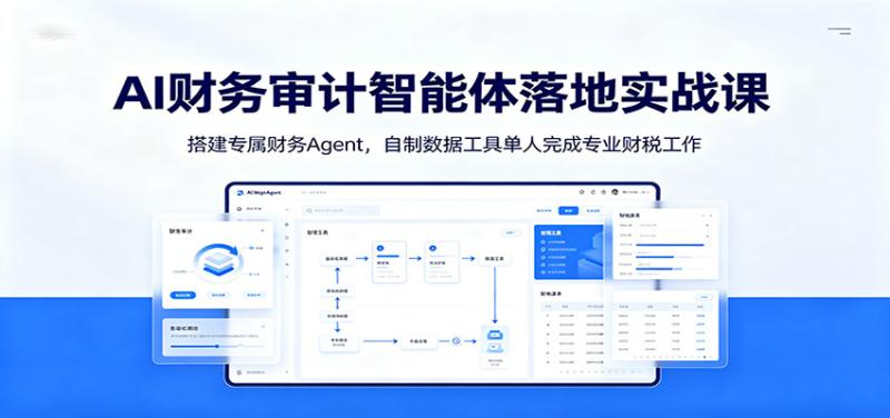 AI财务审计智能体落地实战课：搭建专属财务Agent，自制数据工具单人完成专业财税工作