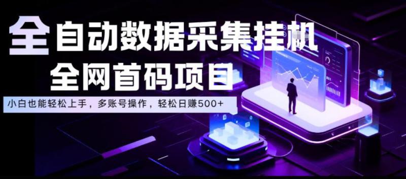 全自动数据采集挂G，全网首码项目，简单易操作，小白也能轻松上手，多账号操作，轻松日入500+【揭秘】