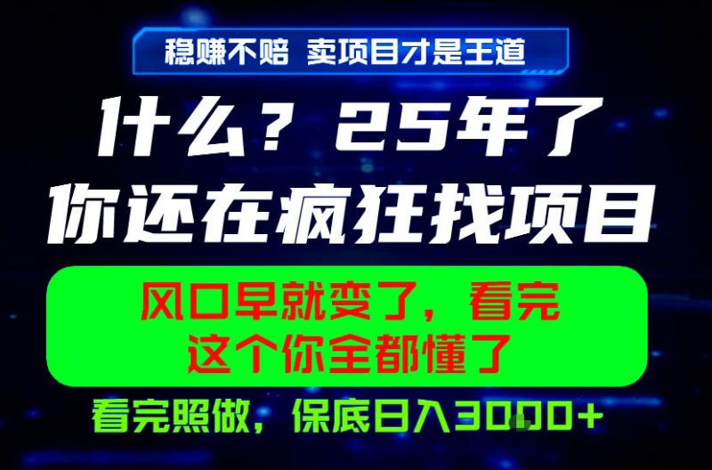 26年，请不要疯狂的找项目做了！卖项目才是真的稳賺不赔，看完照做，保底日入1k+【揭秘】
