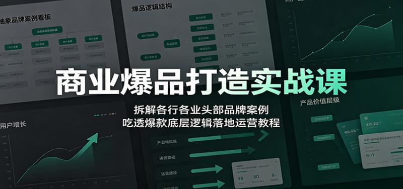 商业爆品打造实战课：拆解各行各业头部品牌案例，吃透爆款底层逻辑落地运营教程