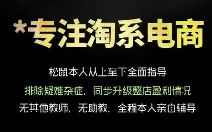 松鼠会电商VIP课程，从基础布局到高阶优化，助你掌握淘宝运营逻辑，提升店铺流量与转化（更新0626）