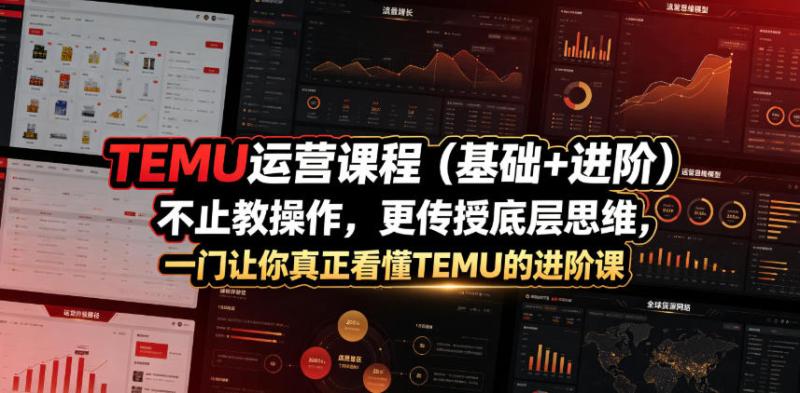 TEMU运营课程（基础+进阶），不止教操作，更传授底层思维，一门让你真正看懂TEMU的进阶课