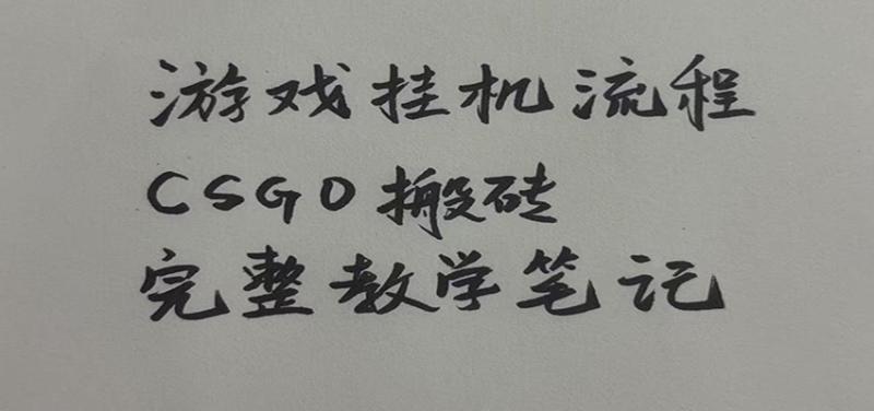 游戏挂机全流程笔记分享，CSGO游戏搬砖，小白看了当天学会见收益