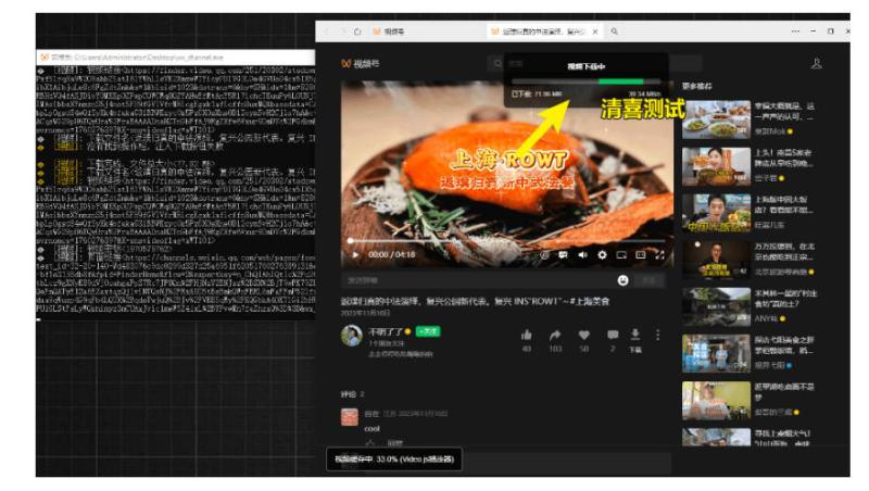 网站公告 网站公告