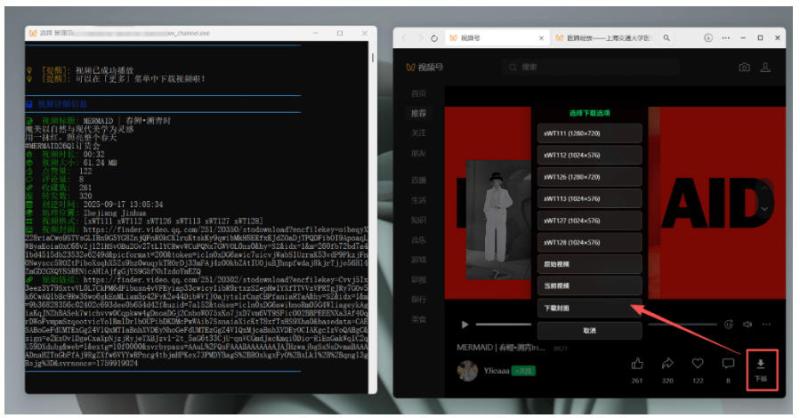 网站公告 网站公告