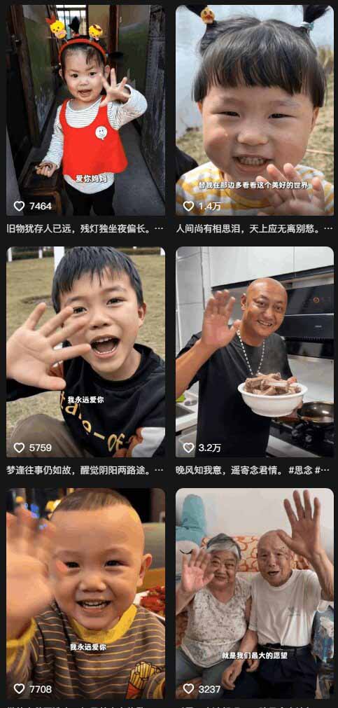 网站公告 网站公告