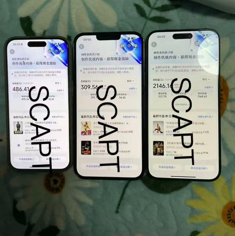 网站公告 网站公告