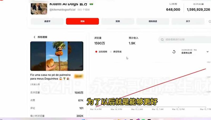 网站公告 网站公告