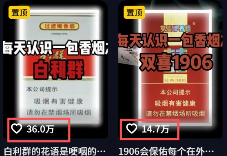 网站公告 网站公告