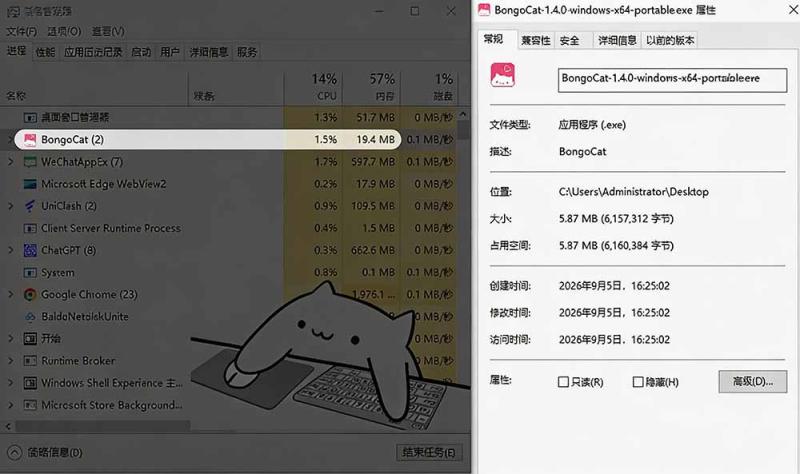 网站公告 网站公告