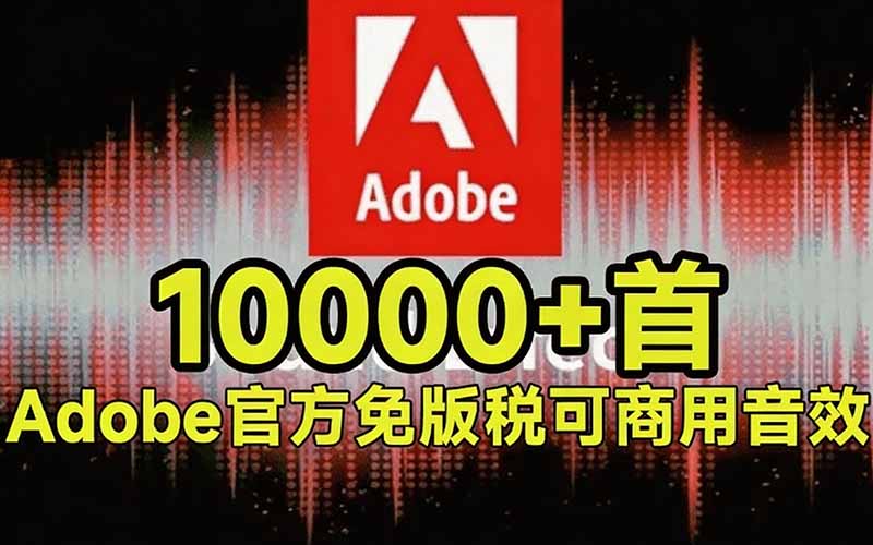 网站公告 网站公告