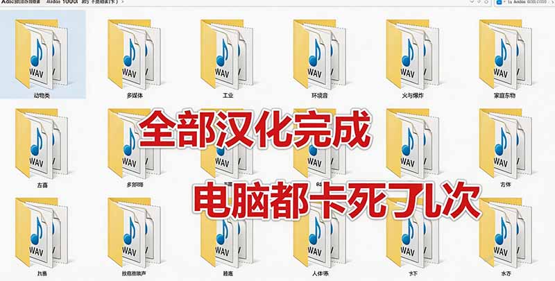 网站公告 网站公告