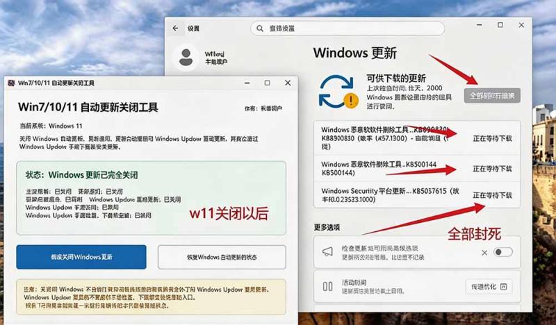 网站公告 网站公告