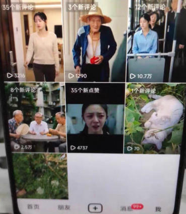 网站公告 网站公告