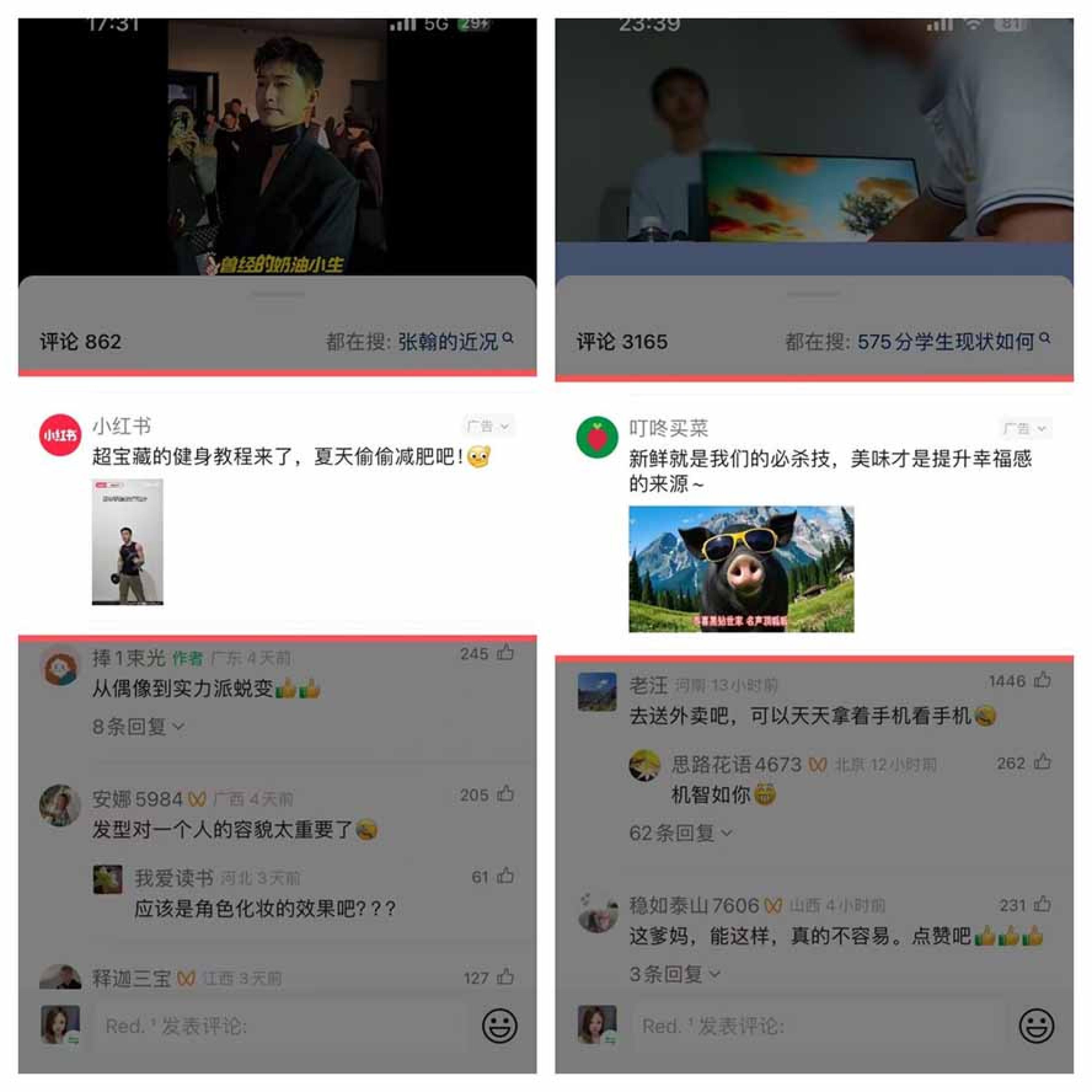 网站公告
