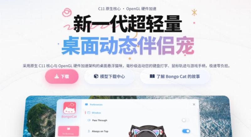 网站公告