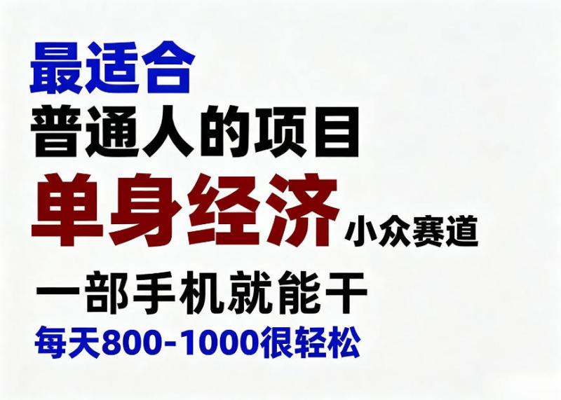 身经济小众赛道，一部手机就能干，每天搞个800-1000很轻松，最适合普通人的项目【揭秘】