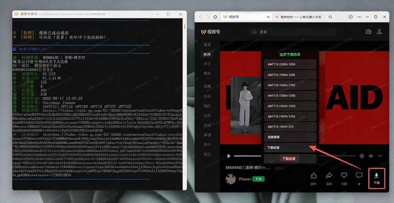 网站公告 网站公告