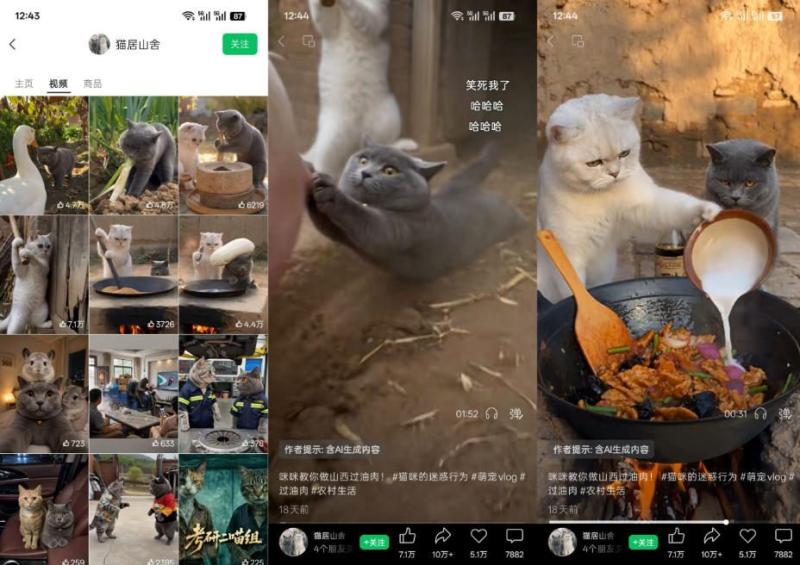 网站公告 网站公告