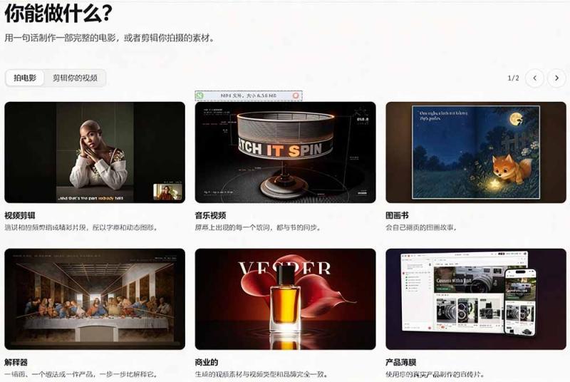 网站公告 网站公告